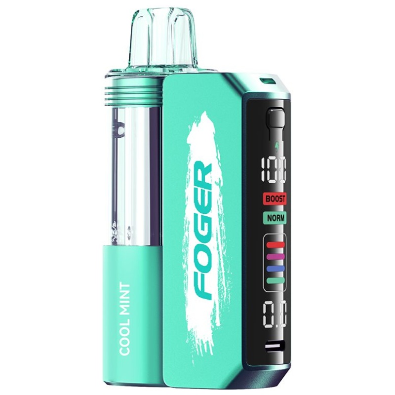 Cool Mint Foger Switch Pro Kit 30K with refreshing mint flavor.