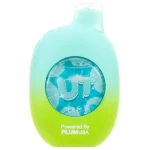 Cool Mint / Icy Mint UT 50K – Dual Mint Disposable Vape