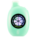 Miami Mint / Mint Slushy UT 50K – Dual Mint Disposable Vape
